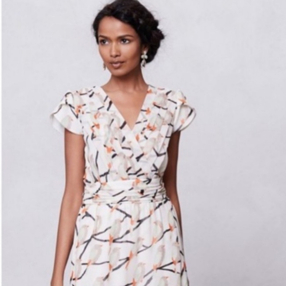 Erin Fetherston Song Bird Dress for Anthropologie